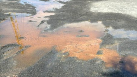 Клязьминское водохранилище под угрозой: результаты анализа воды пугают экологов и жителей района Клязьминское водохранилище под угрозой: результаты анализа воды пугают экологов и жителей района